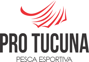 Criação de Site, Construção de Site, Desenvolvimento Web