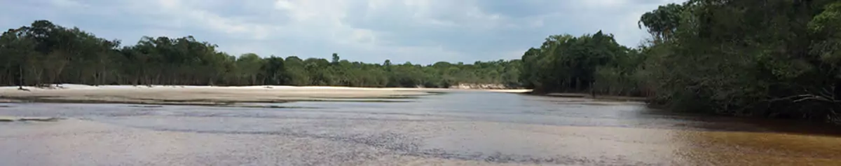 Pesca de Tucunaré
